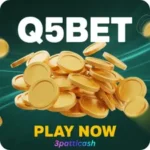 Q5Bet Game